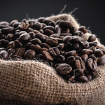 From Seed to Cup